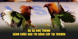 đá gà đòn thomo