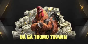 đá gà thomo