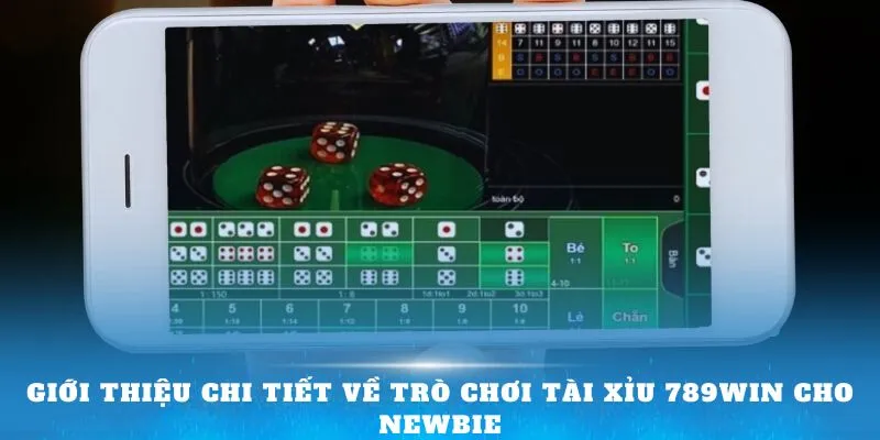 Giới thiệu chi tiết về trò chơi Tài Xỉu 789win cho newbie