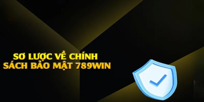 Thông tin sơ lược về chính sách an toàn của 789win