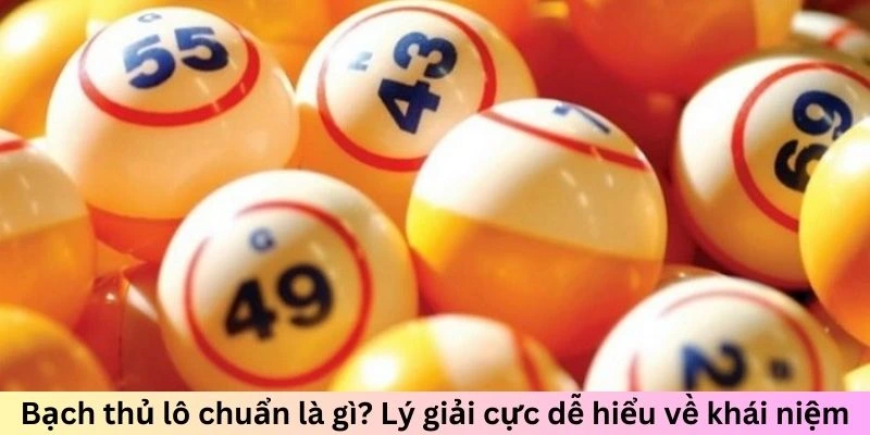 Bạch thủ lô chuẩn là gì? Lý giải cực dễ hiểu về khái niệm